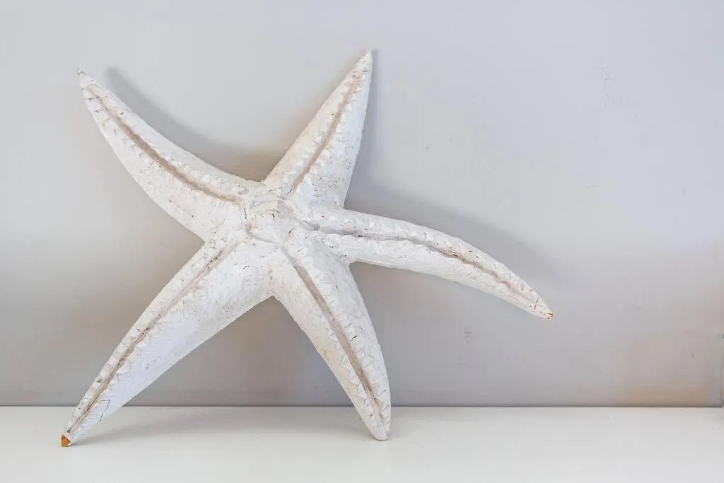 Star Fish Cottage Kalk Bay ケープタウン アパート